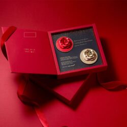 Set 2 phấn nước Ohui Asiana Airline Red & Gold Rose Petal Special Edition II 15g