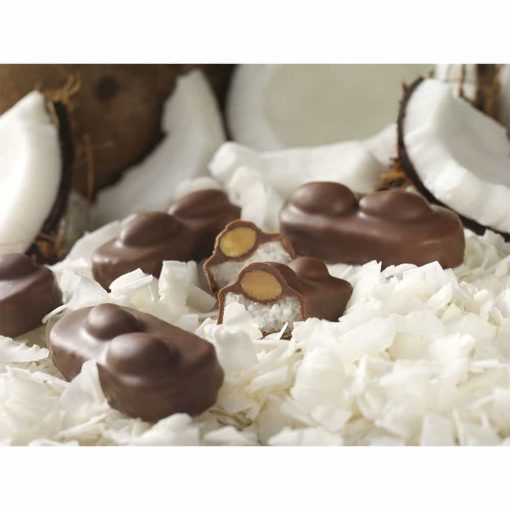 Socola dừa hạnh nhân Almond Joy Milk Chocolate Coconut Almond 320g