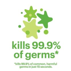 Nước rửa tay khô Babyganics Foaming Hand Sanitizer 250ml (không cồn, không mùi)