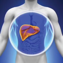 Viên uống bảo vệ và giải độc gan Wagner Liver Detox 100 viên 7 Viên uống bảo vệ và giải độc gan Wagner Liver Detox 100 viên