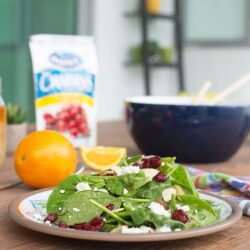 nam viet quat say kho ocean spray craisins whole dried cranberries 1 36g knwb