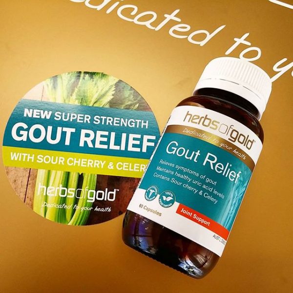 Image result for Viên Uống Hỗ Trợ Điều Trị Gút - Gout Relief Của Úc 60 Viên mẫu mới