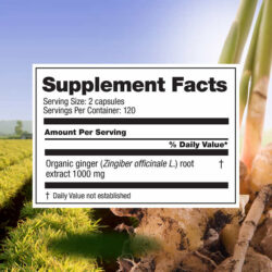 Viên uống hữu cơ gừng Feel Good USDA Organic Ginger 1,000 mg 240 viên 4 Vien uong huu co gung Feel Good USDA Organic Ginger 1 000 mg 240 vien