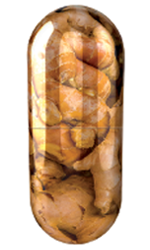 Viên uống hữu cơ gừng Feel Good USDA Organic Ginger 1,000 mg 240 viên 5 Vien uong huu co gung Feel Good USDA Organic Ginger 1 000 mg 240 vien2