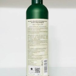 Bộ Dầu Gội Xả Gừng Hà Thủ Ô Weilaiya Zingiber Officinale Juice Bright Hair 400ml+250ml 11 dau goi dau gung dong bac weilaiya 400ml kna