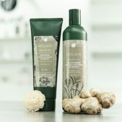 Bộ Dầu Gội Xả Gừng Hà Thủ Ô Weilaiya Zingiber Officinale Juice Bright Hair 400ml+250ml 8 dau goi dau gung dong bac weilaiya 400ml kne