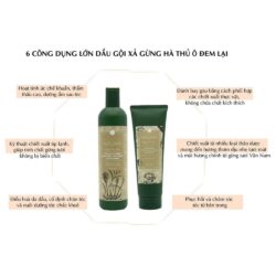 Bộ Dầu Gội Xả Gừng Hà Thủ Ô Weilaiya Zingiber Officinale Juice Bright Hair 400ml+250ml 9 dau goi dau gung dong bac weilaiya 400ml knf