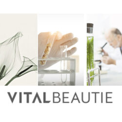 nuoc uong giam can chiet xuat tu dau nanh vb vital beautie slimmer dx 30 ong x 20ml 6