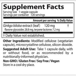 Bổ não và ngăn ngừa đột quỵ Doctor's Best Extra Strength Ginkgo 120mg 120 viên 7 bo nao va ngan ngua dot quy doctors best extra strength ginkgo 120mg 120 vien kaa