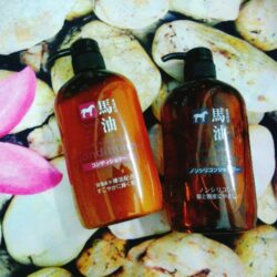 dau goi xa mo ngua horse oil moisture body soap 600mlx21