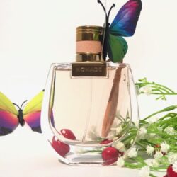Nước hoa nữ Chloe Nomade EDP 75ml 7 nuoc hoa nu chloe nomade edp 75ml 1