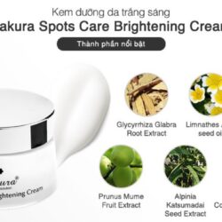 Kem dưỡng trắng da và ngăn ngừa sạm nám Sakura Spots Care Brightening Cream 45g 1