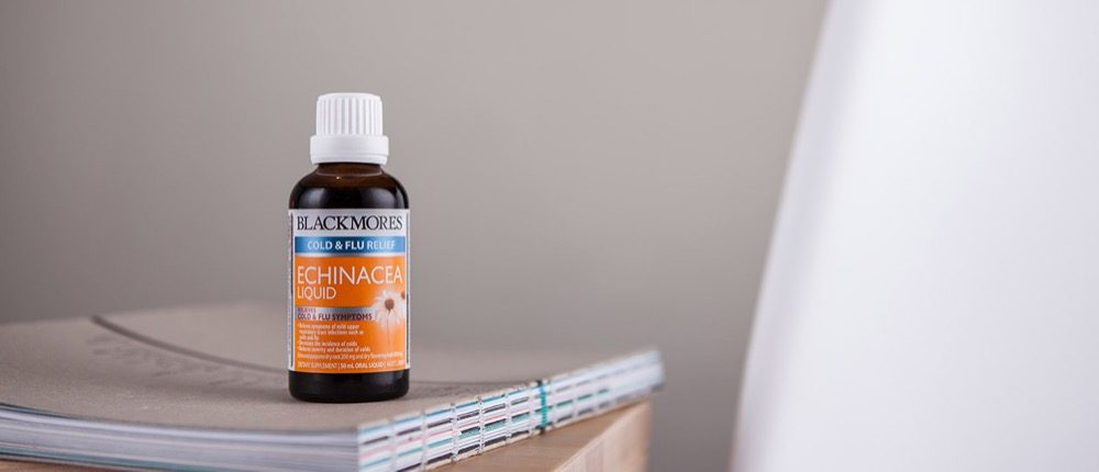 Siro cảm cúm và hỗ trợ hệ thống miễn dịch Blackmores Echinacea Liquid 50ml 12 Siro trị cảm cúm và hỗ trợ hệ thống miễn dịch Blackmores Echinacea Liquid 50ml