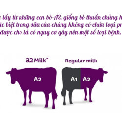 Sữa bầu Úc A2 Platinum Pregnancy 900g 10 sua bau a2 platinum pregnancy 900g 3