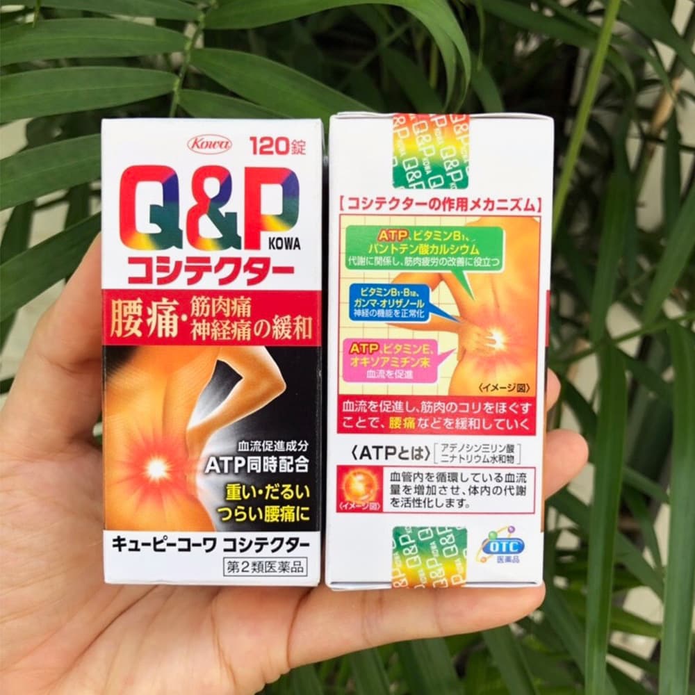 Viên uống cải thiện đau lưng, nhứt mỏi Q&amp;P Kowa nội địa Nhật Bản 120 viên