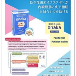 vien uong tan mo bung onaka pillbox 60 vien 1