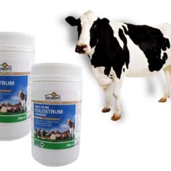 Sữa bò non nguyên chất Blossom 100% Pure Colostrum Powder 200g 6 sua bo non nguyen chat blossom 100 pure colostrum powder 200g1