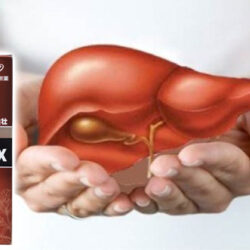 Viên uống bổ gan Hepalyse EX Nhật Bản 240 viên 5 Vien uong bo gan Hepalyse EX Nhat Ban 240 vien2