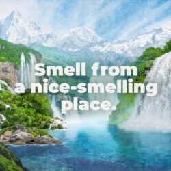 irish spring deep action scrub 532 ml 591ml kd