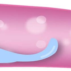 Canxi nước hương việt quất reViva Liquid Calcium 946ml 15 nuoc uong vitamin viet quat reviva liquid calcium 64 ounces kd