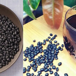 Tra dau den Orihiro 30 goi1