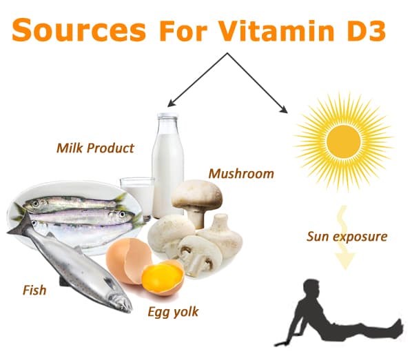Kẹo dẻo bổ sung Vitamin D3 Nature&#8217;s Way Vitamin D3 1000IU 120 viên