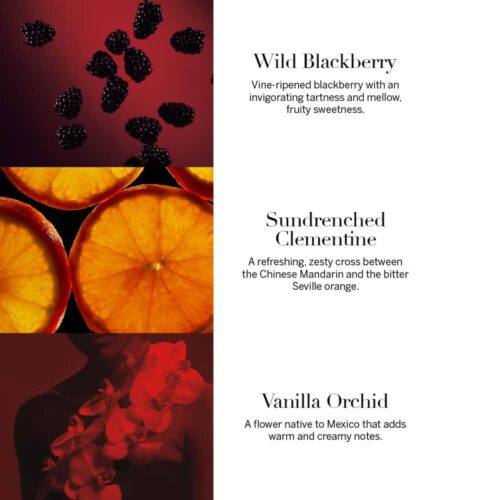 Dưỡng thể Victoria's Secret Very Sexy Fragrance Lotion 250ml 8 duong the victorias secret very sexy fragrance lotion 250ml 100425 kb