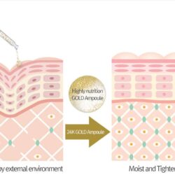 Tinh chất nâng cơ Bookki 24k Gold Signature Premium Ampoule 100ml 28 tinh chat nang co bookki 24k gold signature premium ampoule kg