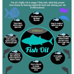 vien uong dau ca wagner fish oil 1000 general wellbeing 400 vien kb