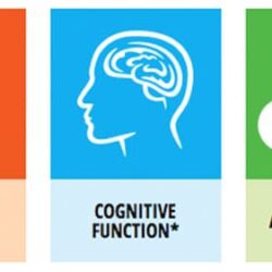 Vitamin dành cho người hay vận động Centrum Adults Performance 75 viên 6 vitamin danh cho nguoi hay van dong centrum adults ferformance 75 vien kb