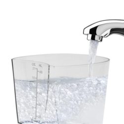 May tam nuoc Waterpik Aquarius Professional WP 674.5