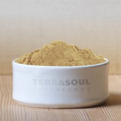 bot camu camu huu co terrasoul superfoods camu camu powder 99g ke