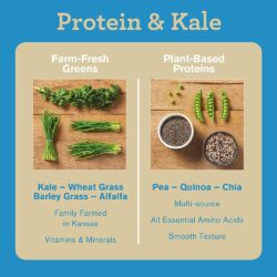 bot protein cai xoan huu co amazing grass organic protein kale 495g huong vani ke