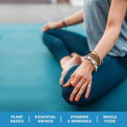 bot protein cai xoan huu co amazing grass organic protein kale 495g huong vani kg