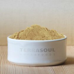 Bột quả lý gai hữu cơ Terrasoul Superfoods Amla Powder 454g 5 bot qua ly gai huu co terrasoul superfoods amla powder 454g kd