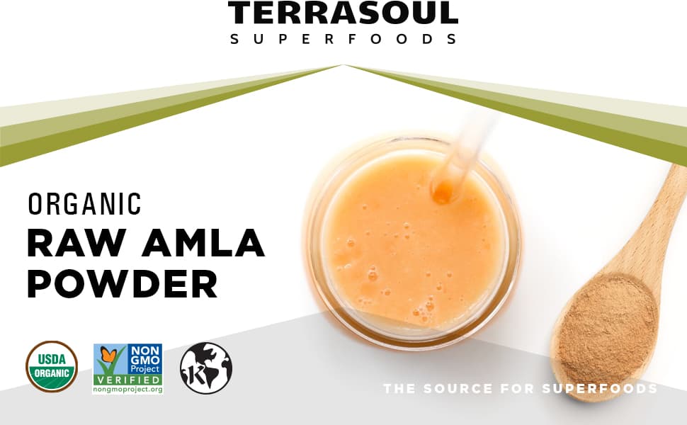 Bột quả lý gai hữu cơ Terrasoul Superfoods Amla Powder 454g