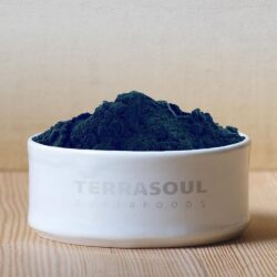 bot tao huu co terrasoul superfoods spirulina powder 170g kb