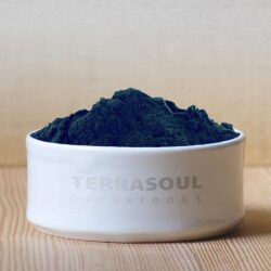 bot tao luc chlorella huu co terrasoul superfoods chlorella powder 170g ka