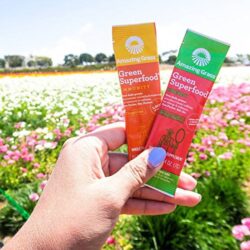 bot thuc pham huu co giau nang luong amazing grass green superfood energy vi dua hau 15 goi kb