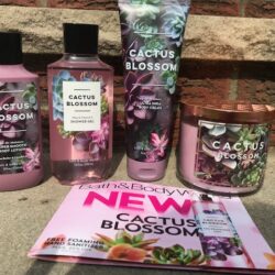 Sua duong the Bath amp Body Works Body Lotion Cactus Blossom 236ml3