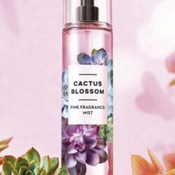 Xit thom Bath amp Cactus Blossom Beautiful Fragrance Mist 236ml1
