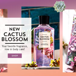 Xit thom Bath amp Cactus Blossom Beautiful Fragrance Mist 236ml2