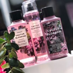 Xit thom Bath amp Cactus Blossom Beautiful Fragrance Mist 236ml3