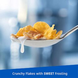 ngu coc kelloggs frosted flakes 1 7kg kh