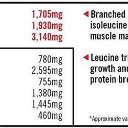 Sữa tăng cơ vị socola Muscle Milk Genuine Protein Powder 2240g 22 Sua tang co vi socola Muscle Milk Genuine Protein Powder 2240g 5