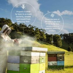 chai xit keo ong giam viem hong ho comvita propolis oral spray 20ml ke