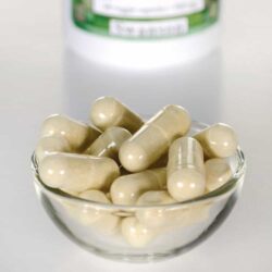 Viên uống phòng chống ung thư Swanson Fucoidan Extract 500mg 60 viên 12 vien uong phong chong ung thu swanson fucoidan extract 500mg 60 vien kc