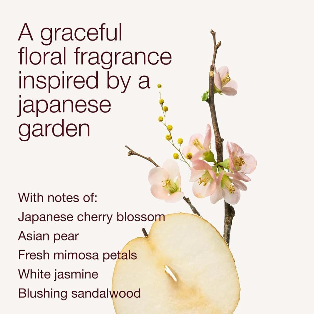 Xịt thơm Bath & Body Works Japanese Cherry Blossom Fine Fragrance Mist 236ml - Ảnh 4