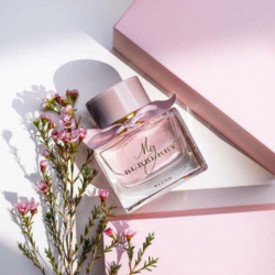 Nuoc hoa nu My Burberry Blush EDP 90ml3