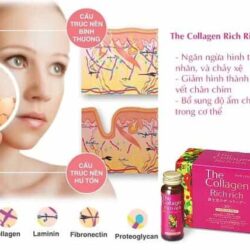 Collagen nước Shiseido The Collagen Rich Rich 50ml x 10 chai 12 collagen nuoc shiseido the collagen rich rich 50ml x 10 chai kd